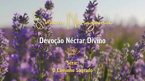 Devoção - Néctar Divino