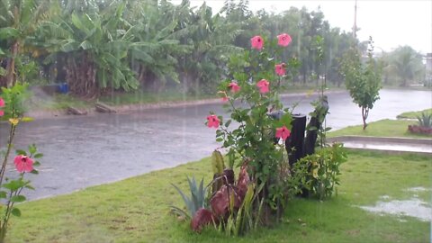 SOM DA CHUVA PARA DORMIR TRANQUILAMENTE 😴