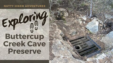 Buttercup Creek Cave Preserve - Texas