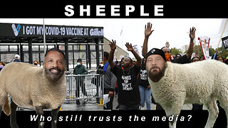 Sheeple and the News - Who still trusts the media?