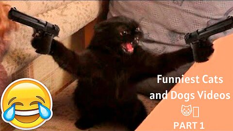 New Funny Animals 😂 Funniest Cats and Dogs Videos 😺🐶 PART 1