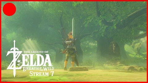 I WILL DEFEND HYRULE! - The Legend Of Zelda: Breath Of The Wild