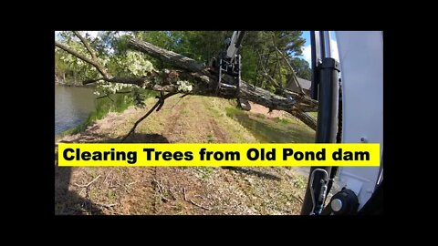 Bobcat e42 r series mini excavator clearing trees from old pond dam