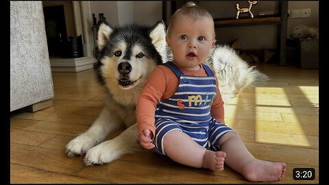 Adorable Baby Boy Talks To His Dog! (Cutest Ever!!)