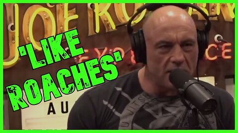 'LIKE ROACHES': Rogan Rails Against 'The Rise Of Anti-Semitism' | The Kyle Kulinski Show