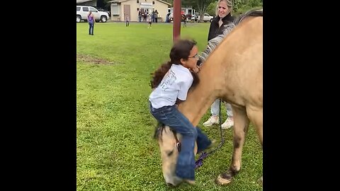 Gentle Horse Allows Climbing and Sliding