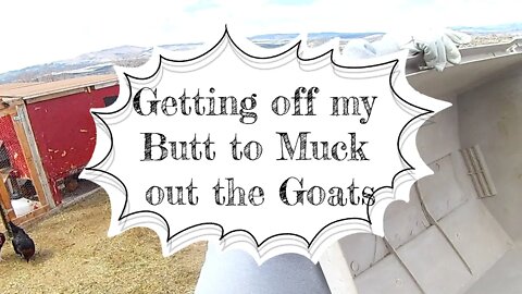 Getting off my butt to muck out the goats