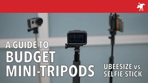 A Guide to Budget Mini-Tripods Ubeesize vs Elegant