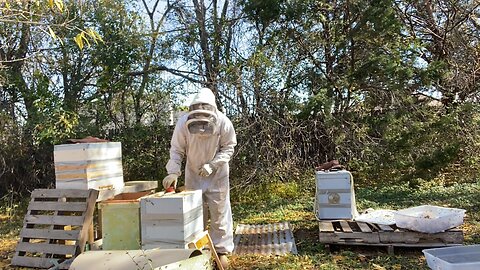 Dec 8, 2023 bee houseckeeping