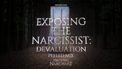 Exposing the Narcissist : Devaluation (Peeled Mix)