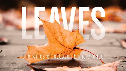 Leaves Blowing in the Wind – 2 Hour Loop