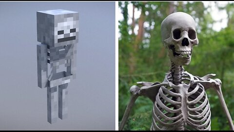 MINECRAFT IN REAL LIFE |