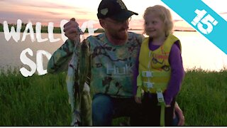 WALLEYE SLAUGHTER - Kayak Walleye Limits, South Dakota, Part 2 of 2