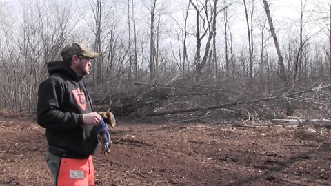 #55 Establishing a Food Plot "Landscaping for Whitetails"