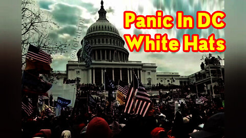 Panic In Dc. White Hats In Control 2.22.23..