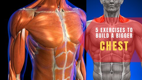 5 Exercises to build your Chest faster