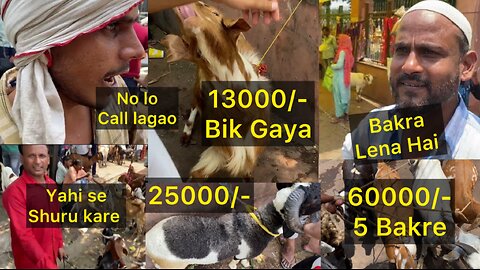 Lucknow Ki Bakra Mandi 2024 | Bakra Mandi 2024 Lucknow | Lucknow Bakra Mandi 2024 |