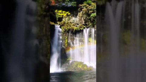 MÚSICA PARA RELAXAR MEDITAÇÃO ZEN SONS DA NATUREZA MÚSICA PARA ALIVIAR O ESTRESSE Shorts7