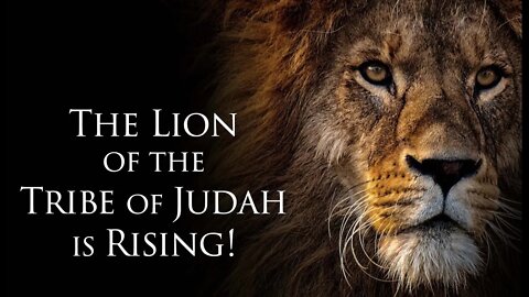 The Lion of the Tribe of Judah is Rising!