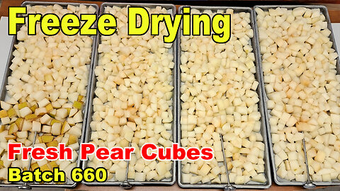 Freeze Drying - Batch 660 - Pear Cubes for a Chocolate Coating Test