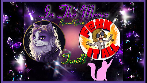 In The Meow | With Special Guest ToniB