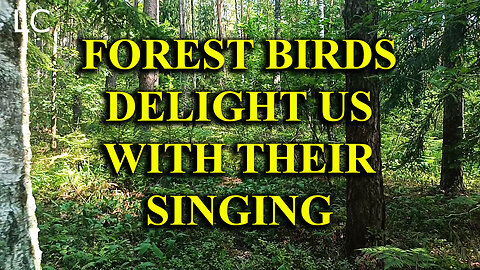 By listening to the voices of birds, we can better understand the world around us.