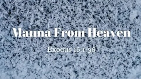 Exodus 16:1-36 (Full Service), "Manna From Heaven"