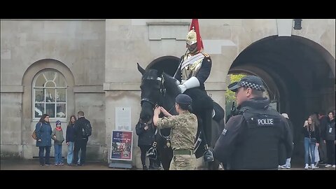 Extinction rebellion freaks out the kings guard horse #horseguardsparade