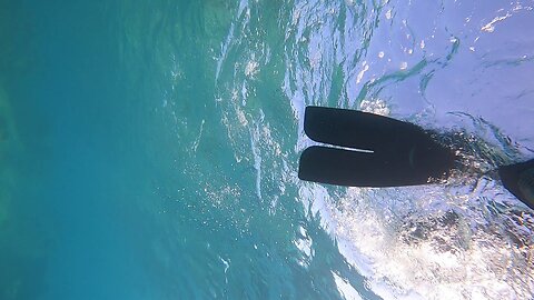 Freediving-Lionfishhunting Cooper's Island, Bermuda