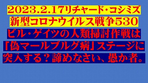 2023.02.17 リチャード・コシミズ新型コロナウイルス戦争５３０