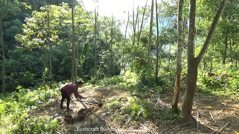 Build complete and warm survival shelter - bushwalk overnight in the wilderness)8