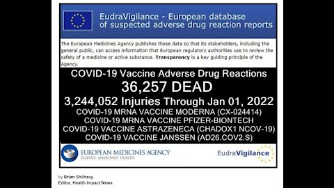 36257 deaths and 3,244,052 injuries following Covid shorts in European Database