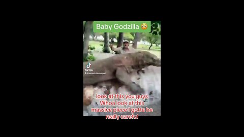 Baby Godzilla 😳😳😳