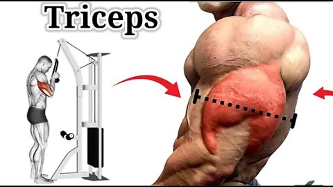 5 Exercises To Build Bigger Triceps ll Triceps Workout