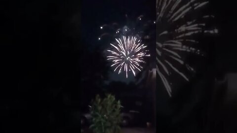 frogs are loud over the fireworks