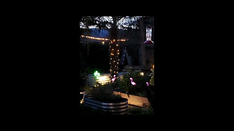 Garden lights during Christmas season with bridge lights in background