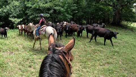 Yeehaw! We’re going riding!