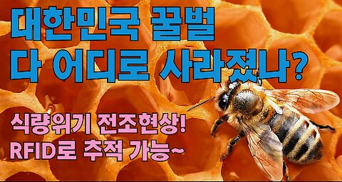 대한민국 꿀벌 다 어디로 사라졌나? 식량위기 전조현상! RFID로 추적 가능~