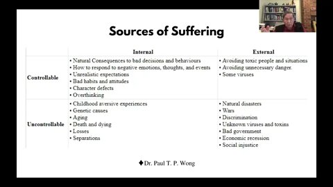 Summit Flourishing through Suffering to Self-transcendence |Dr. Paul T. P. Wong| Meaning Conference