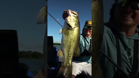 Ben Milliken catches a GIANT using the MAGNUM Flutter Spoon