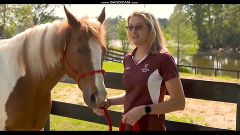 Transforming The Lives Of People In #Centralflorida Through #horses #CrossroadCorral #sanfordfl