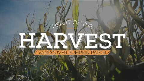 Heart of the Harvest: Vancouver Pumpkin Patch