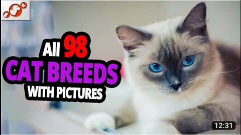 🐈 All Cats Breeds A—Z With pictures!(all 98 breedsin the world)