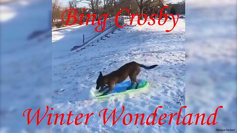 BING CROSBY - WINTER WONDERLAND