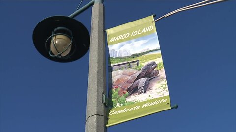 Marco Island residents being left in the dark as streetlights remain out after Hurricane Ian