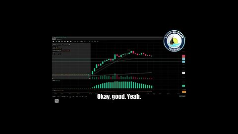 16 Profitable Days and Counting - VIP Member's Day Trading Success