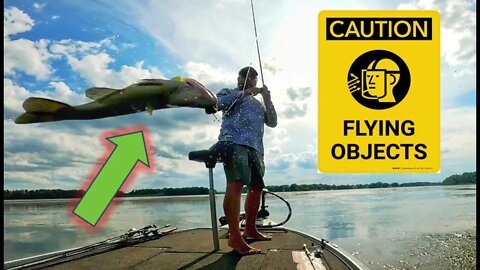 ⚠️ WARNING!!! (beware of Flying Bass) ⚠️