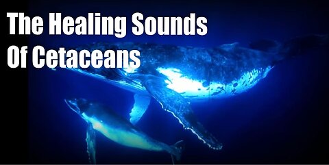 The Healing Sounds of Cetaceans