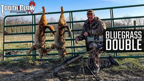 Bluegrass Double - Coyote Hunting