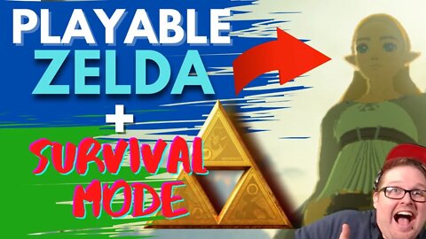 Playable Zelda + Survival Mode in BOTW! Modded Breath of the Wild Stream.